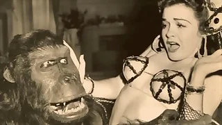 Dark Lantern Beguilement Presents 'Vintage Petmania'